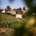 Vinory - La Mandragola