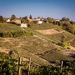 Vinory - La Mandragola * Mombercelli