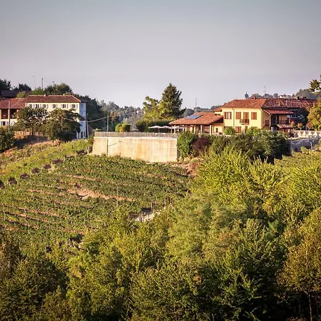 Vinory - La Mandragola Mombercelli