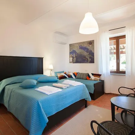 Vinory - La Mandragola * Mombercelli