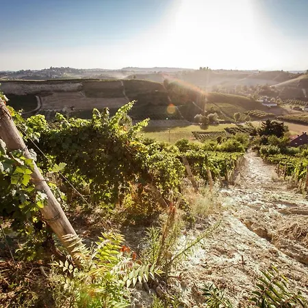 Vinory - La Mandragola Villa *