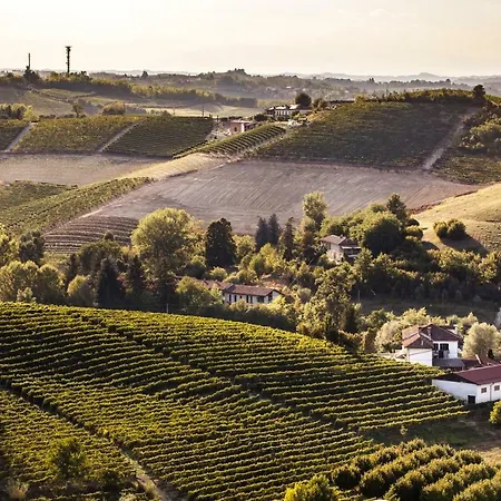 Vinory - La Mandragola