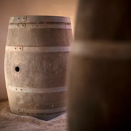 Vinory - La Mandragola * Mombercelli