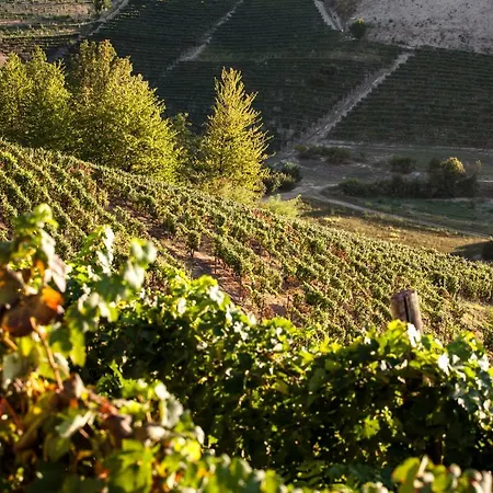 Vinory - La Mandragola Вилла