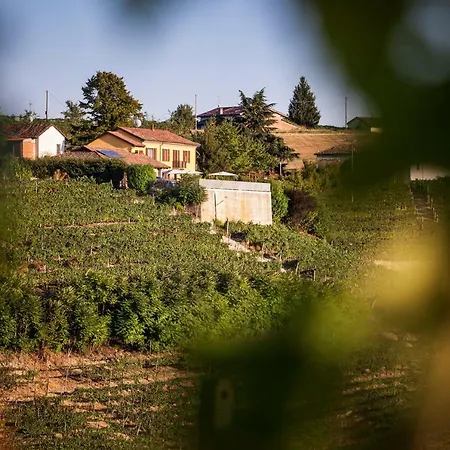 Vinory - La Mandragola