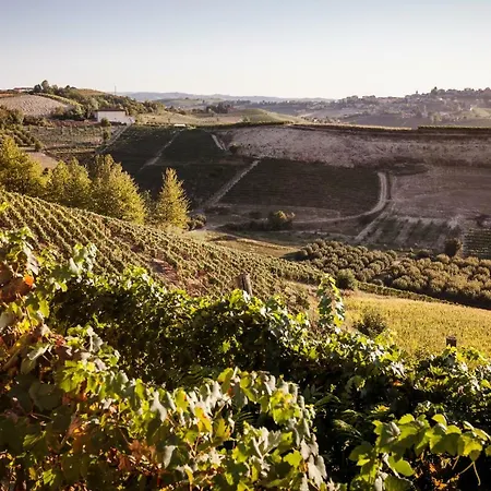 Vinory - La Mandragola Villa *