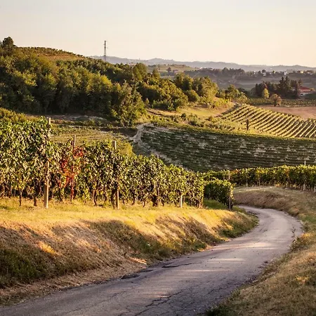 Villa Vinory - La Mandragola