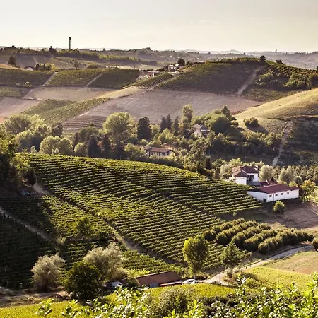 Vinory - La Mandragola Villa *