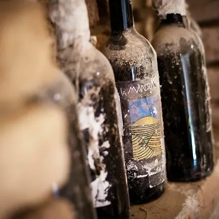 Вилла Vinory - La Mandragola