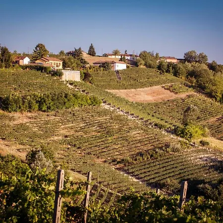 Vinory - La Mandragola * Mombercelli