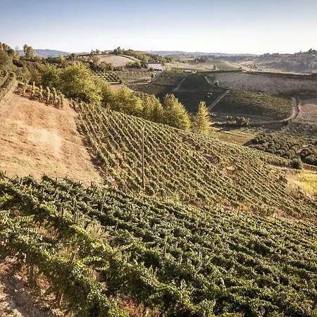 Vinory - La Mandragola