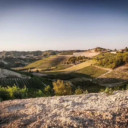 Vinory - La Mandragola * Mombercelli