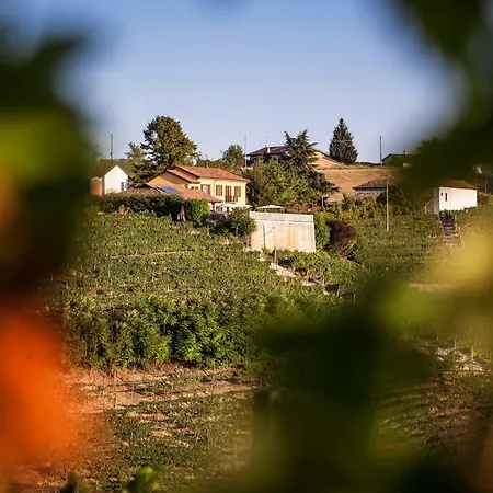 Vinory - La Mandragola Villa