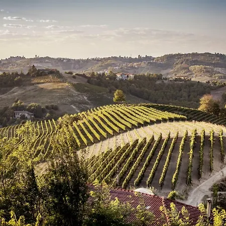 Vinory - La Mandragola