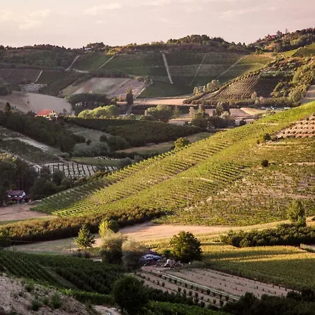 Vinory - La Mandragola