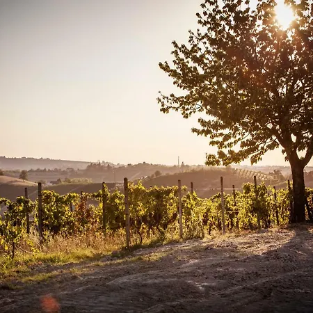 Вилла Vinory - La Mandragola Mombercelli