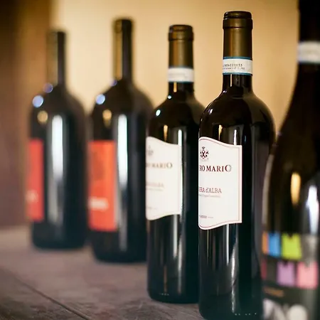 Vinory - La Mandragola