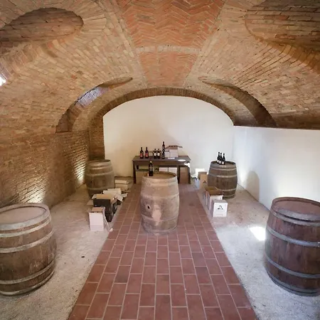 Vinory - La Mandragola *