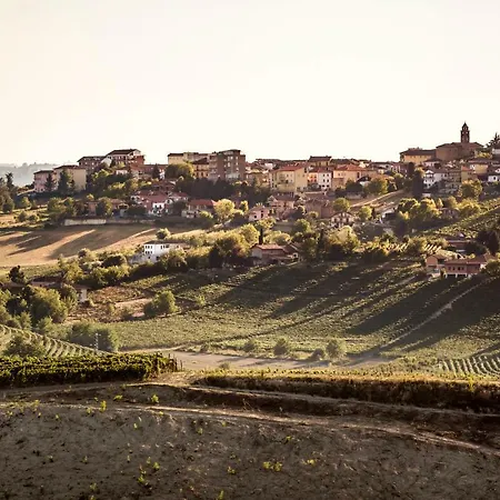 Vinory - La Mandragola