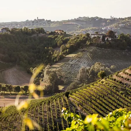 Вилла Vinory - La Mandragola