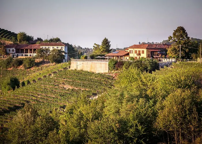 Vinory - La Mandragola Mombercelli