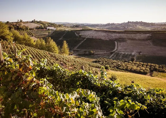 Vinory - La Mandragola Villa *