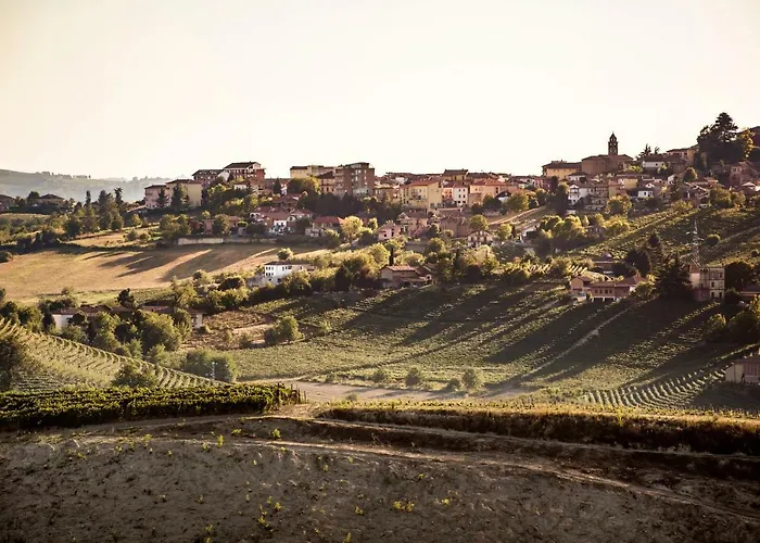 Vinory - La Mandragola